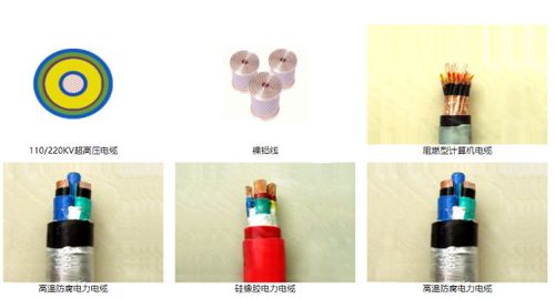 山东智造 绿色创新惊艳全球，环保产品引领未来市场